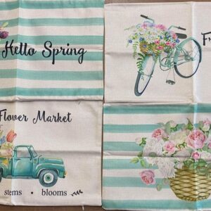 4pc Spring Pillow Covers
